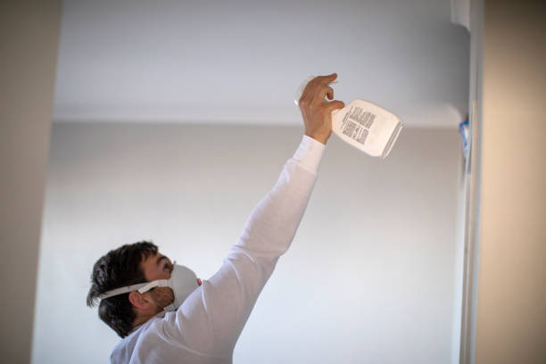 Best Emergency Mold Remediation in Warroad, MN